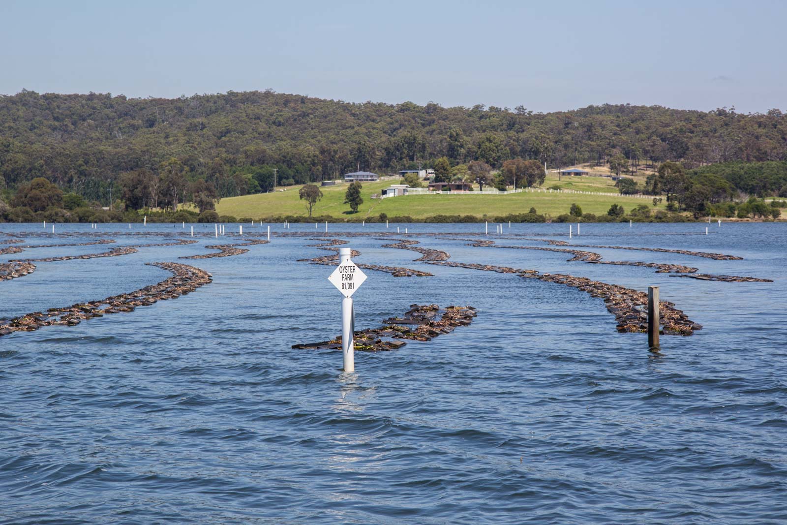 Food Agility Project's Water Quality Testing Methods Adopted at Pambula
